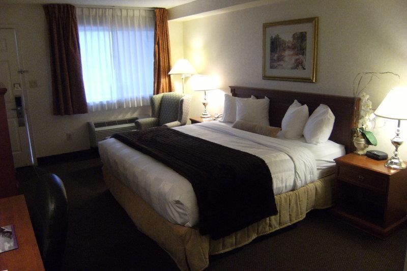 Best Western Halton Hills Hotell Georgetown Rom bilde